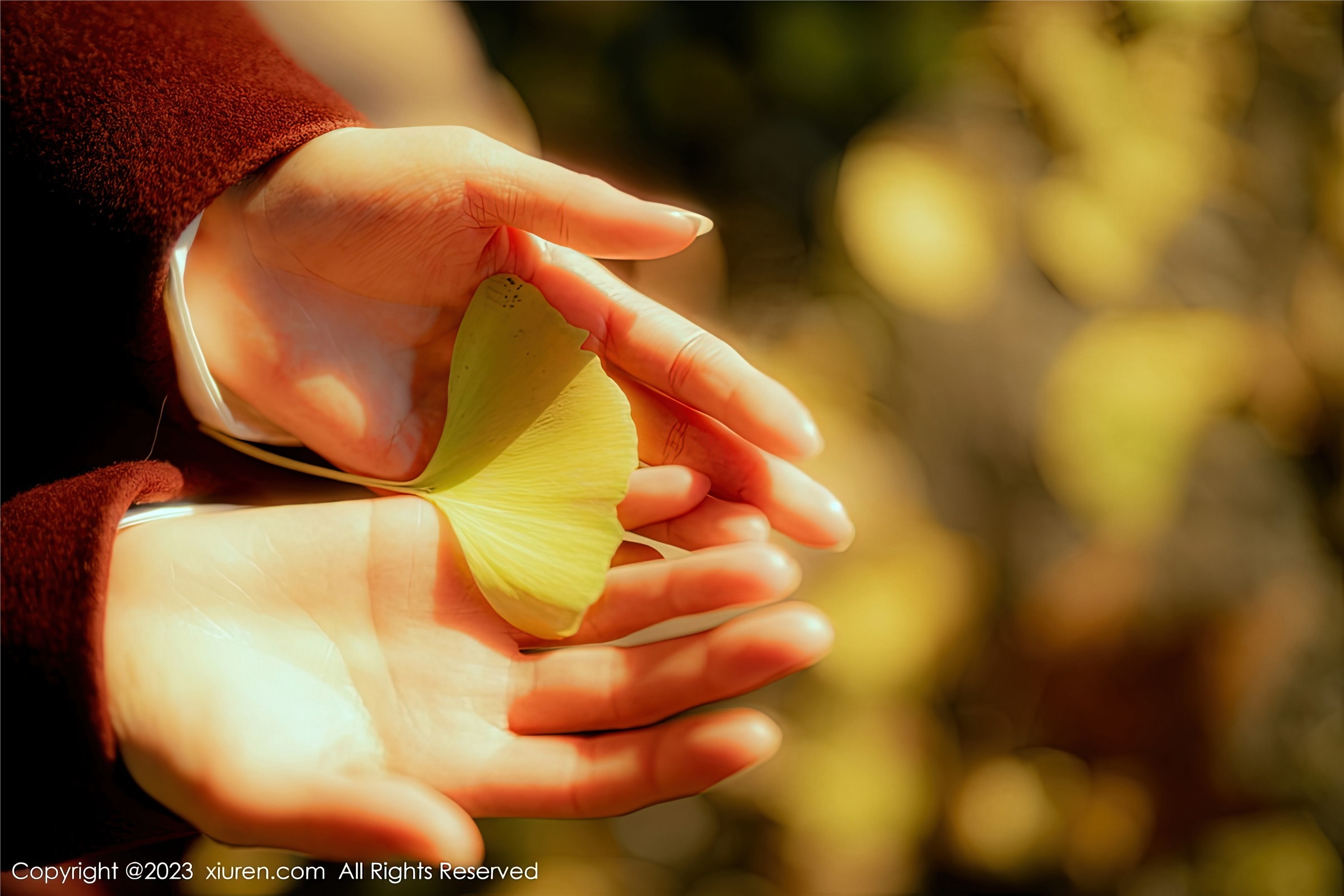 Xiuren秀人网 2023.01.16 NO.6137 婠婠么